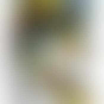 Patisseries (preview)