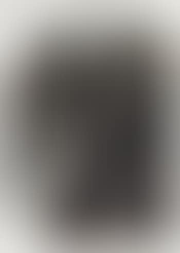 Untitled (It's all virgin soil) (preview)