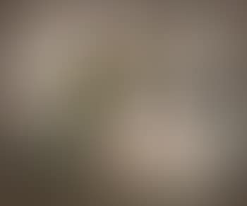 Nature Morte Aux Fruits (preview)