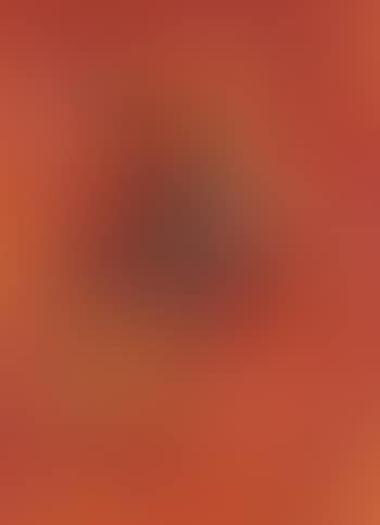 Cavallo e Cavaliere (Horse And Rider) (preview)
