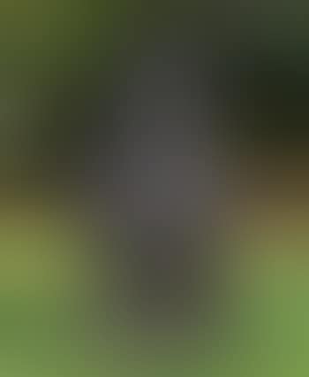 Man On a Horse (preview)