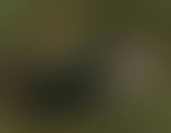 El Poeta (preview)