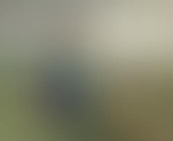 Harvesters (preview)