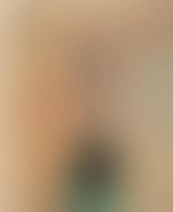 O.T. (preview)