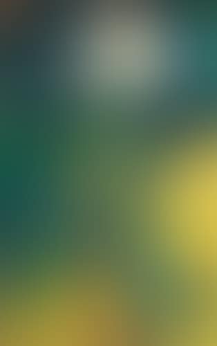 Pivoine (preview)