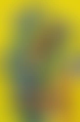 Composition Aux Deux Oiseaux (preview)