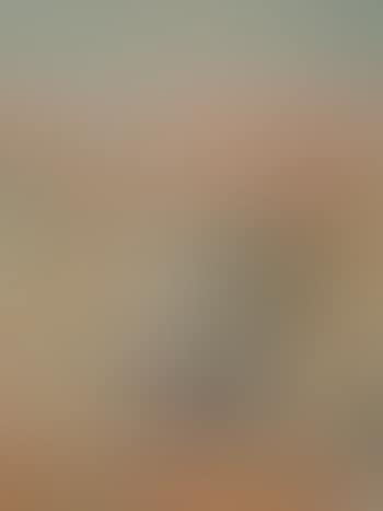 View From 500 East Eleventh Street (preview)