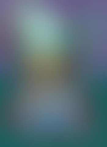 Still Life (preview)