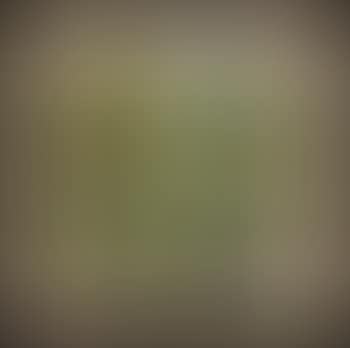 River Landscape (preview)