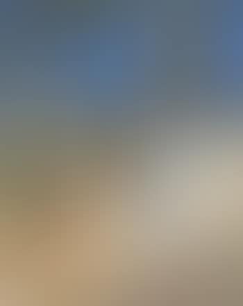 Shoalhaven landscape, bush and dry gully (preview)