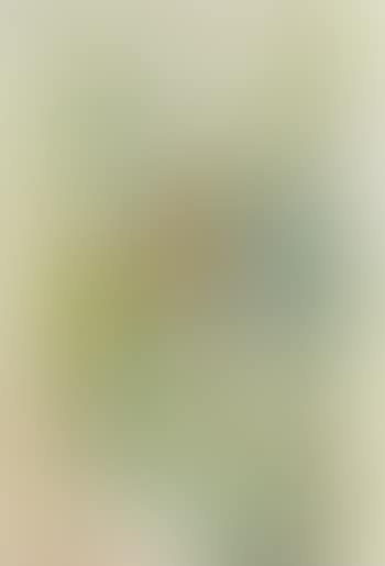 Figur (preview)