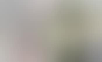 Two Works: i) Untitled, SMJ.0005; ii) Untitled, SMJ.0003 (preview)