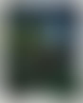 Untitled (preview)