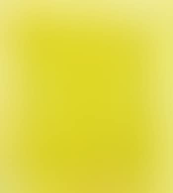 Yellow Jonquils IV (preview)