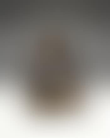 Lingam (preview)