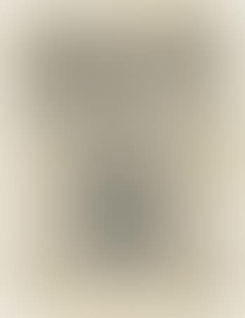 0-9: plate 8 (preview)