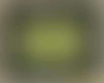 Untitled No. 12 from the series Amazon (preview)