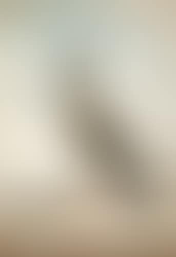 A Redshank (preview)