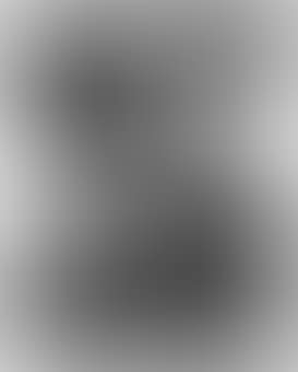Domestic Nude VI and Art Dealer, Pacific Palisades, CA (preview)