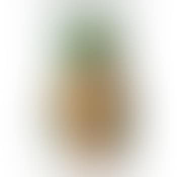 Visage De Femme (A.r. 192) (preview)