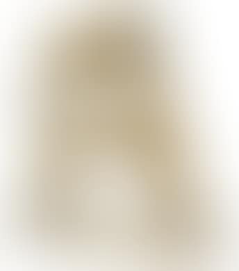 A fox terrier (preview)