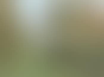 Paysage (preview)