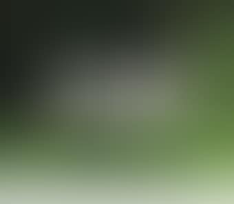 Ram (preview)
