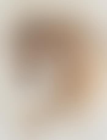 Study of a bay horse (preview)
