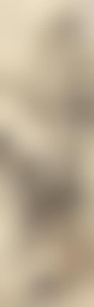 Landscape (preview)