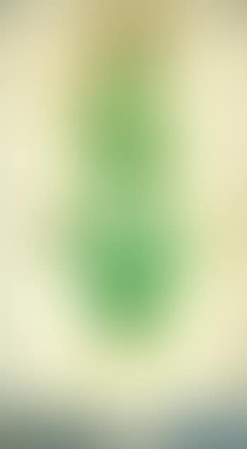 Chrysanthemums with green leaves (preview)