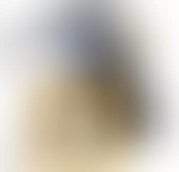 Composition (preview)