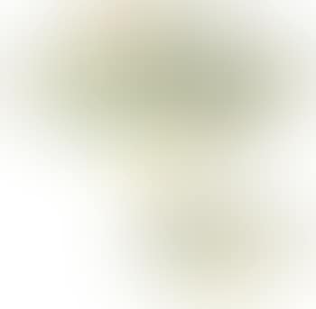 Flowers by Zhang Shoucheng (preview)