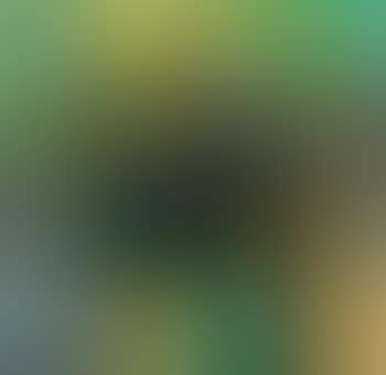 Calculate (preview)