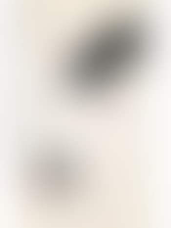 Cat staring at the butterfly (preview)