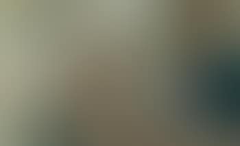 Untitled (Man With Sitar) (preview)