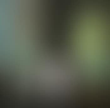 Still life, figure, fish, cactus (preview)