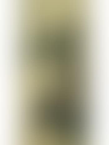 Landscape (preview)
