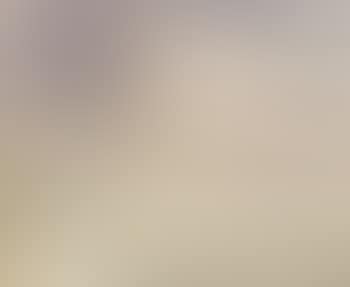 Landscape (preview)