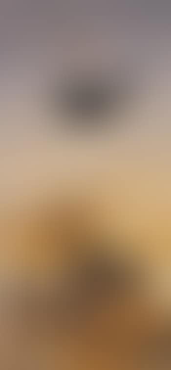 Chinese landscape II (preview)