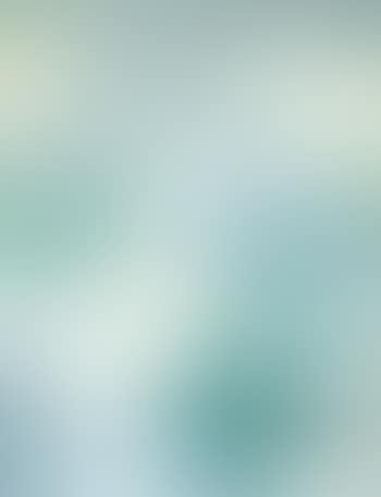 Abstract (preview)