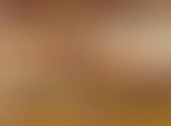 Abstract (preview)