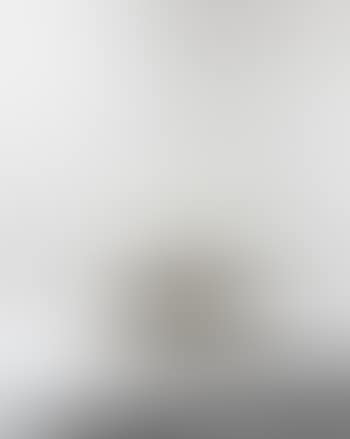 Sella 1001 lounge chair (preview)