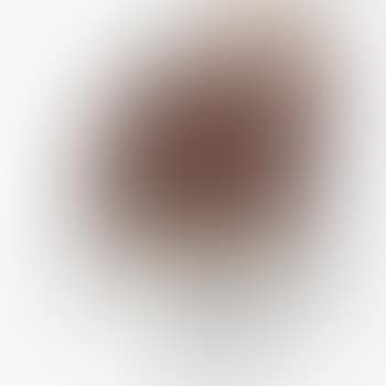 Tournepat Desk Chair, Model AR2/NR204 (preview)