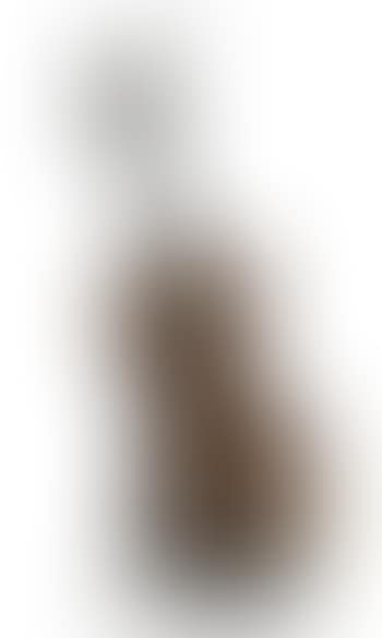 Violon coupé IV (preview)