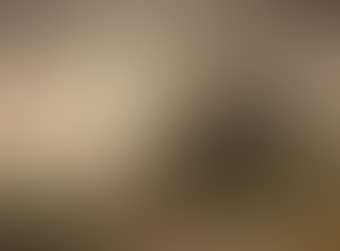 Travellers on a path in a dune landscape (preview)