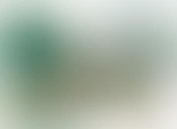 Paysage (preview)
