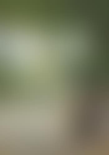 Scene set in Schönbrunn Palace (preview)