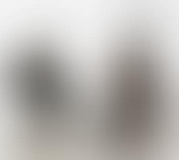 Falconer on horseback. Amorous couple on horseback (preview)