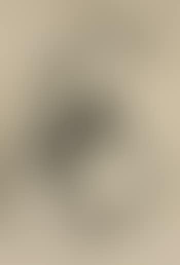 Nude, series B (preview)