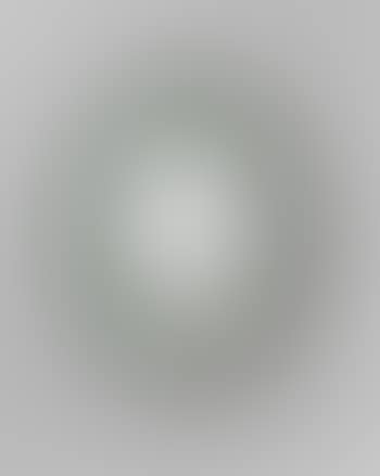 Mirror (preview)